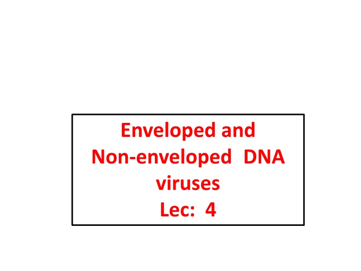 enveloped and non enveloped dna viruses lec 4