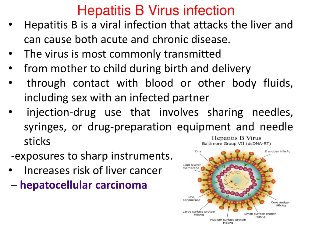 hepatitis b virus infection