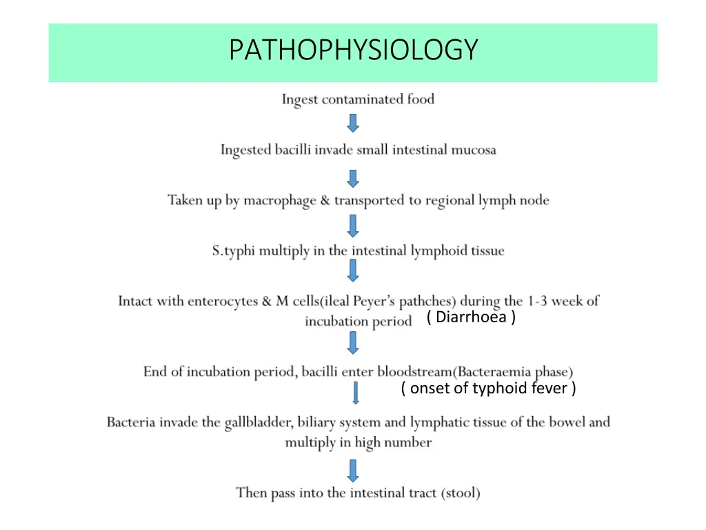 pathophysiology