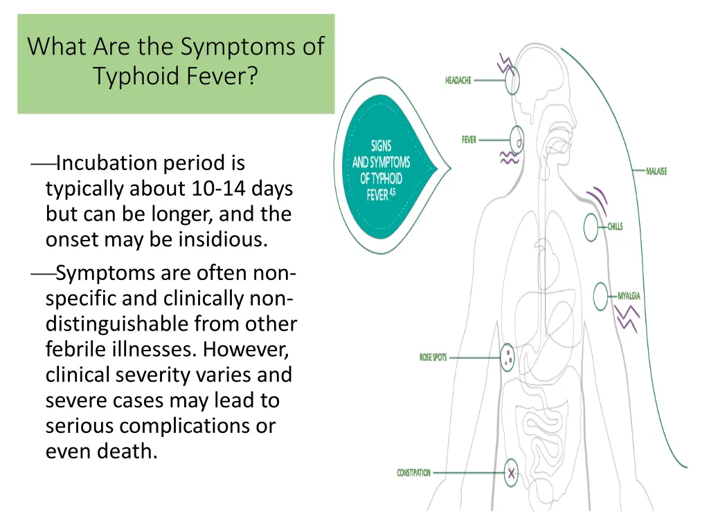 what are the symptoms of typhoid fever