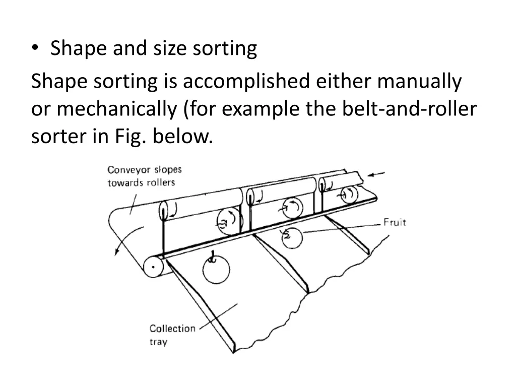 shape and size sorting shape sorting