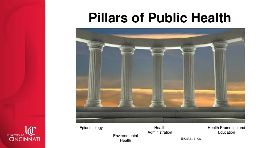 pillars of public health