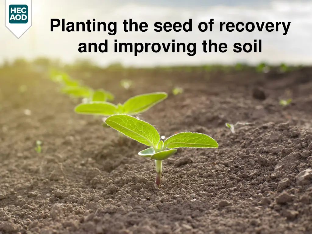 planting the seed of recovery and improving