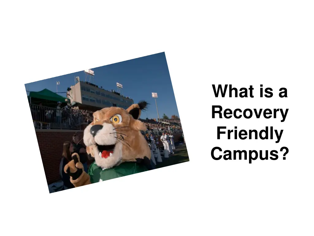 what is a recovery friendly campus