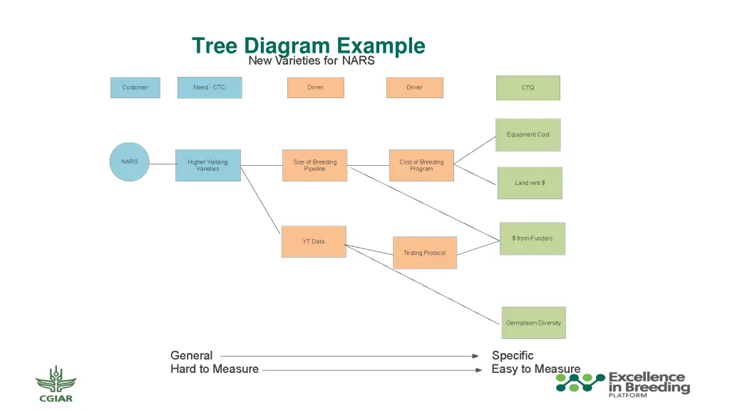 tree diagram example