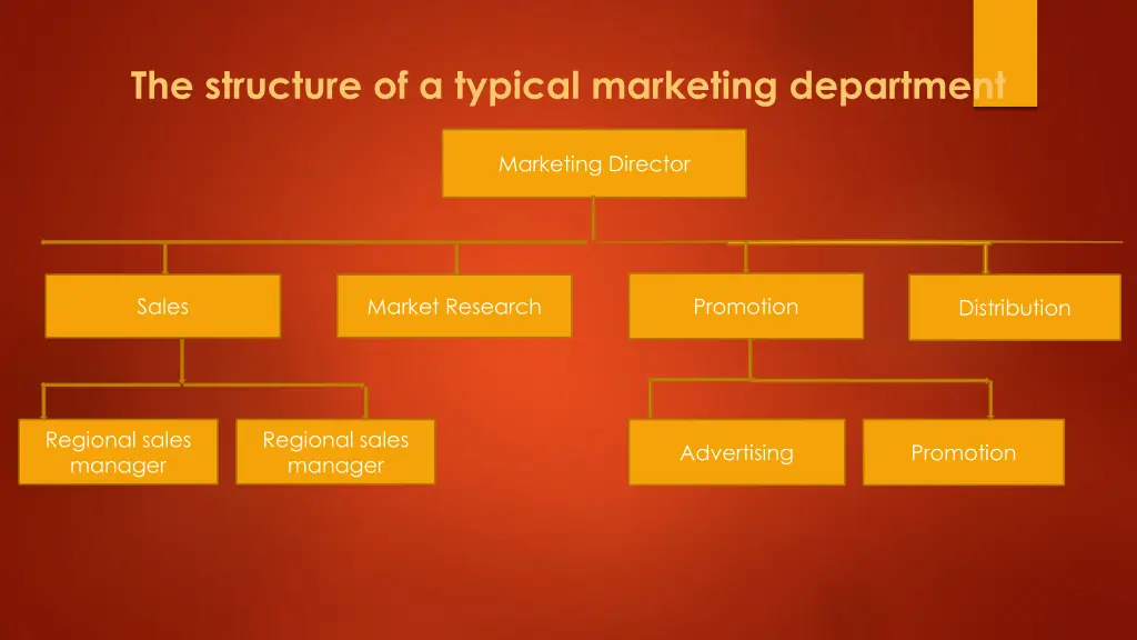 the structure of a typical marketing department