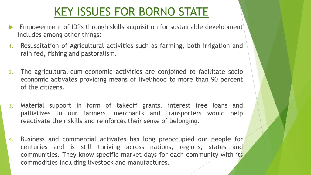 key issues for borno state