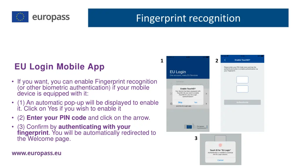 fingerprint recognition