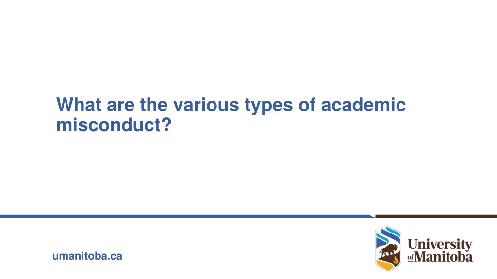 what are the various types of academic misconduct