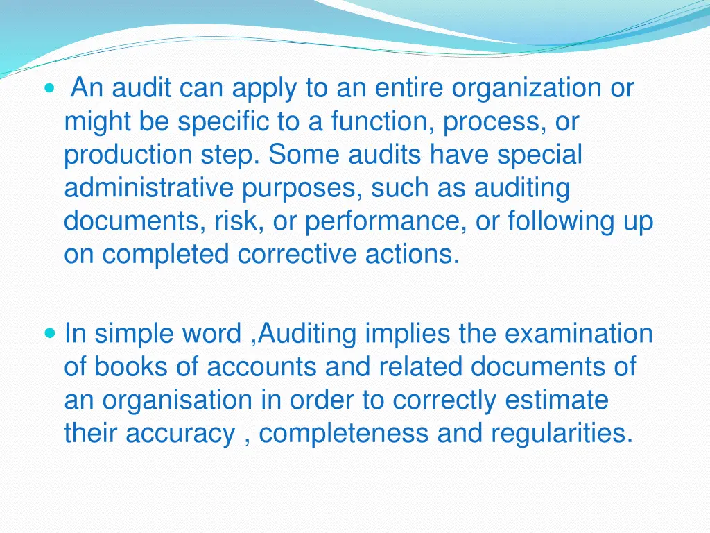 an audit can apply to an entire organization