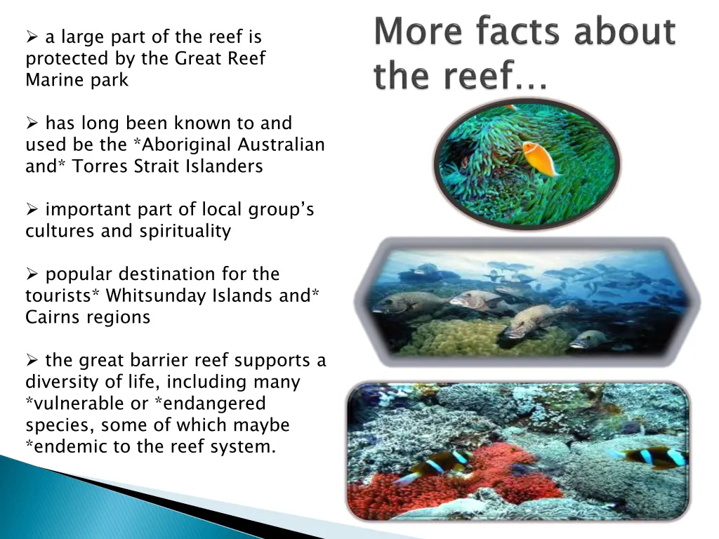 a large part of the reef is protected