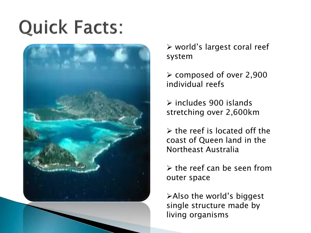 world s largest coral reef system