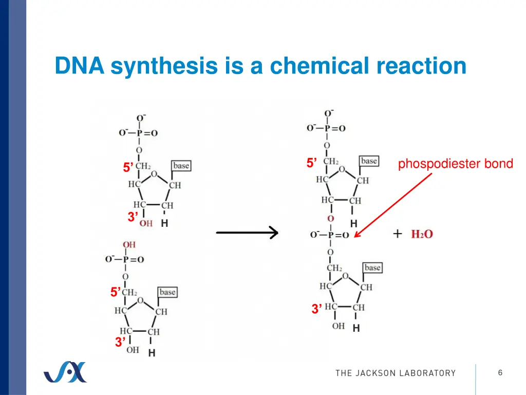 dna synthesis is a chemical reaction