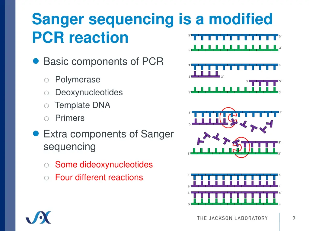 sanger sequencing is a modified pcr reaction 2