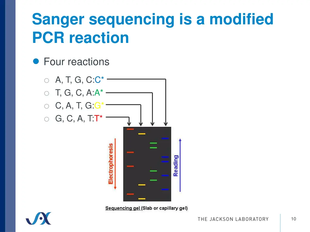 sanger sequencing is a modified pcr reaction 3