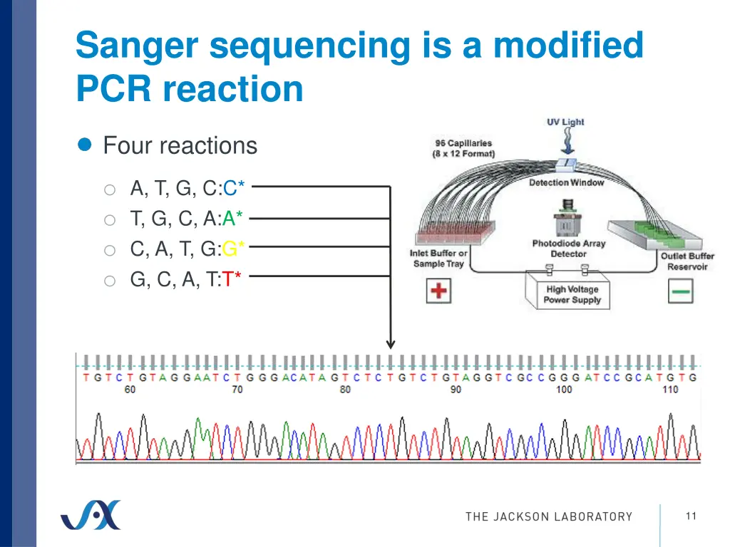 sanger sequencing is a modified pcr reaction 4