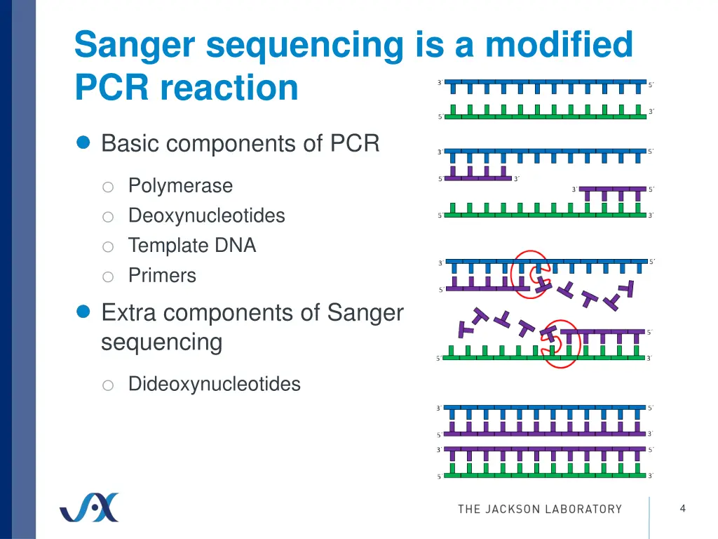 sanger sequencing is a modified pcr reaction