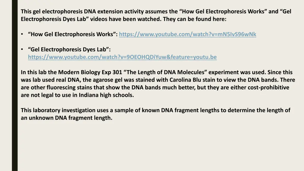 this gel electrophoresis dna extension activity