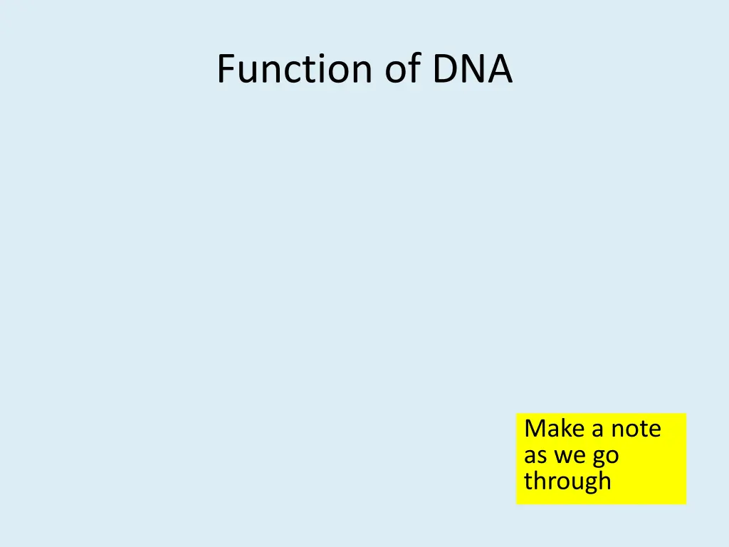 function of dna