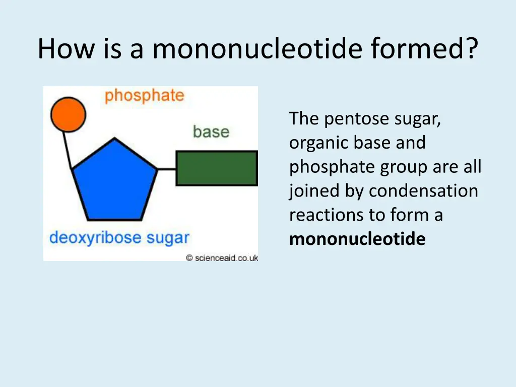 how is a mononucleotide formed