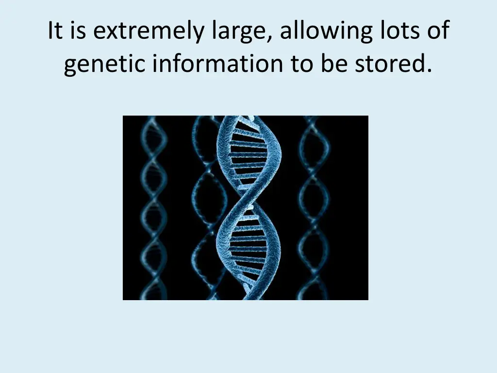 it is extremely large allowing lots of genetic