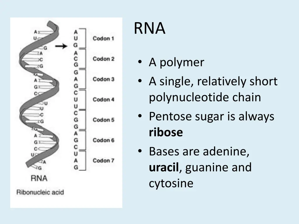 slide28