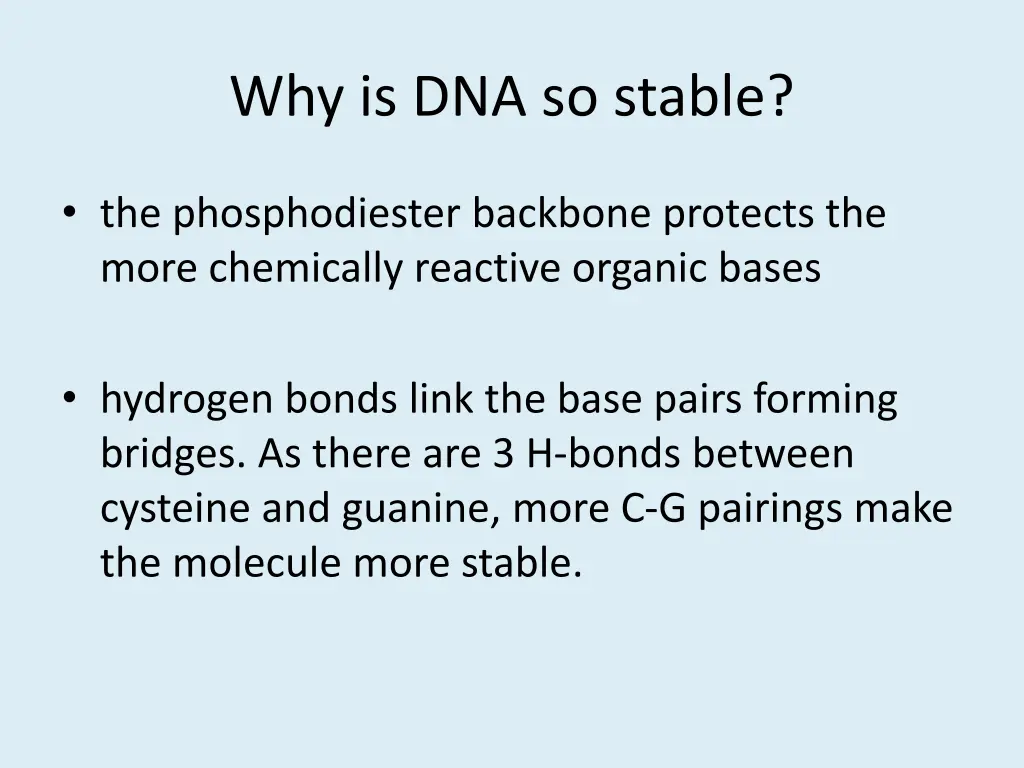 why is dna so stable