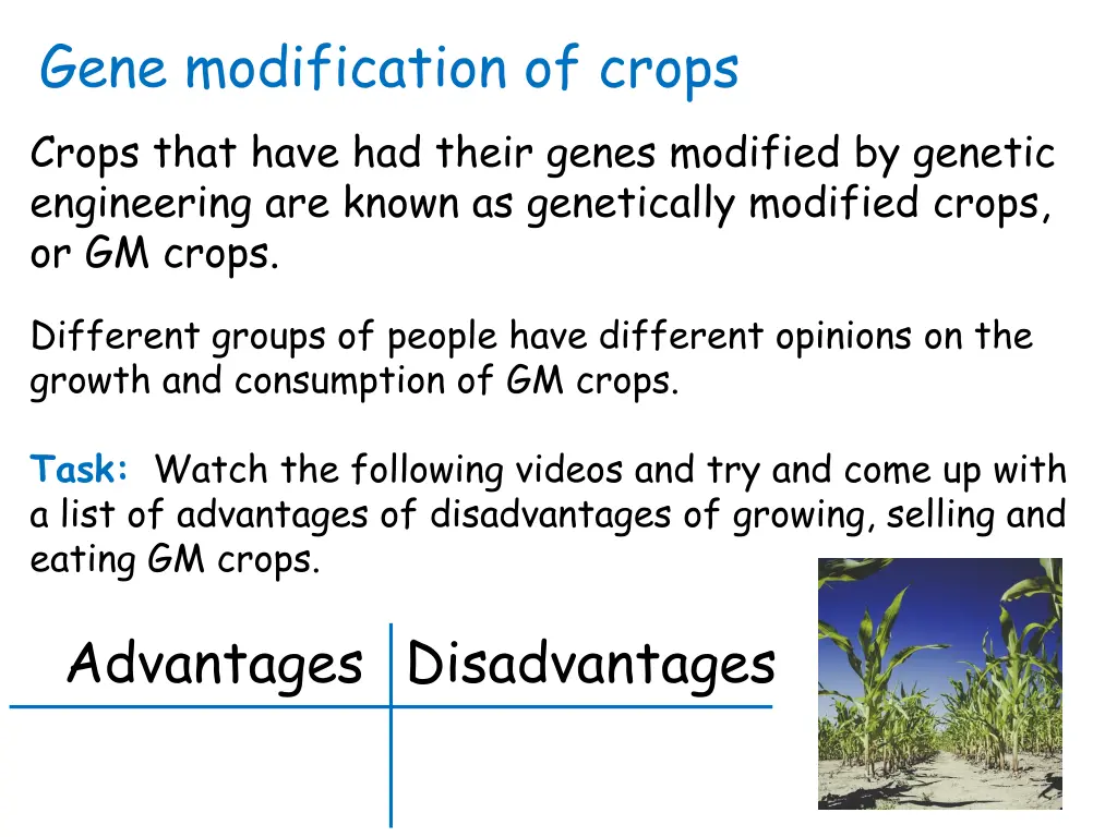 gene modification of crops crops that have