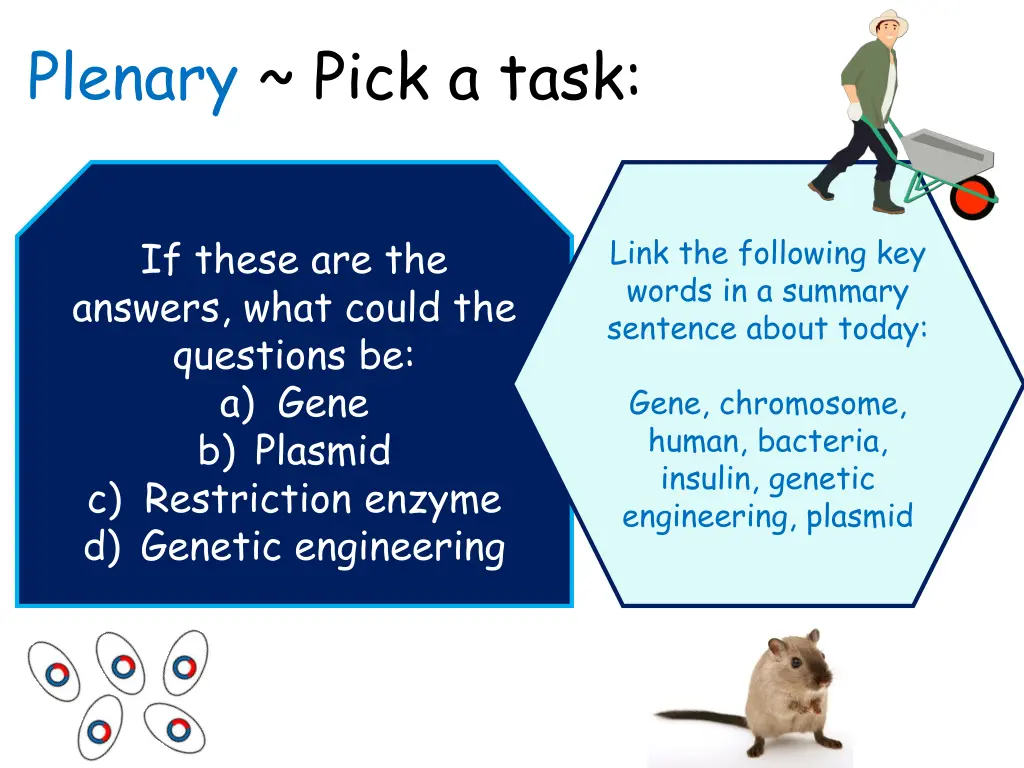 plenary pick a task