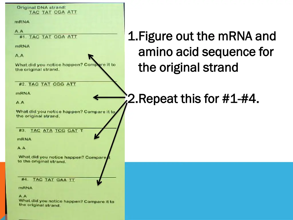 1 1 figure out the mrna and figure out the mrna 1