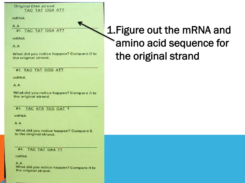 1 1 figure out the mrna and figure out the mrna