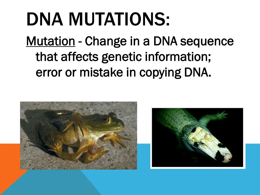 dna mutations mutation mutation change