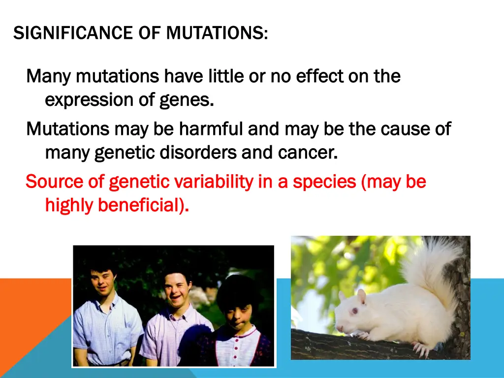 significance of mutations