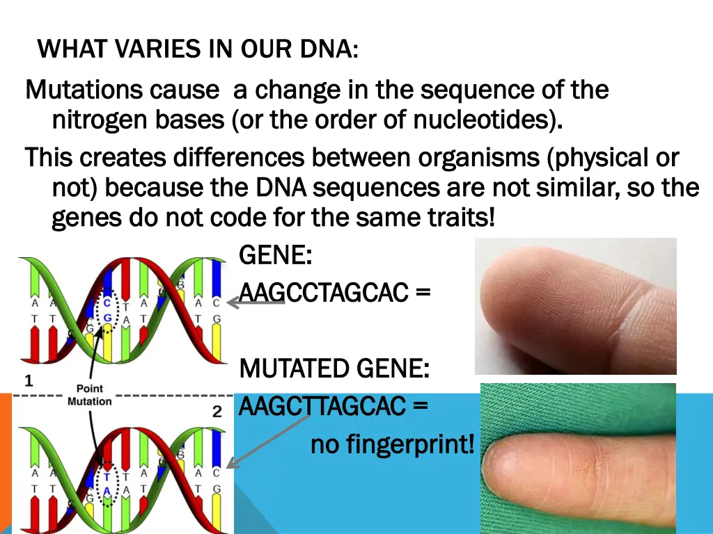 what varies in our dna mutations cause a change