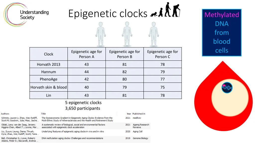 epigenetic clocks