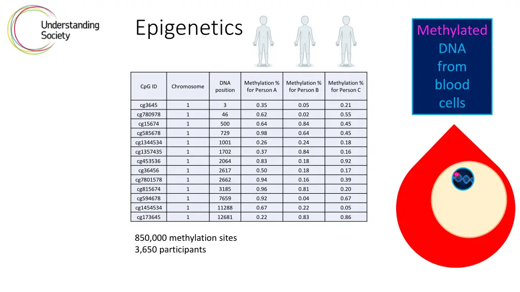 epigenetics