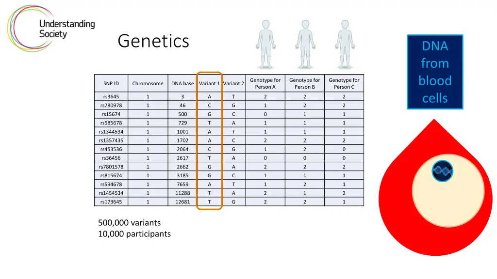 genetics 1