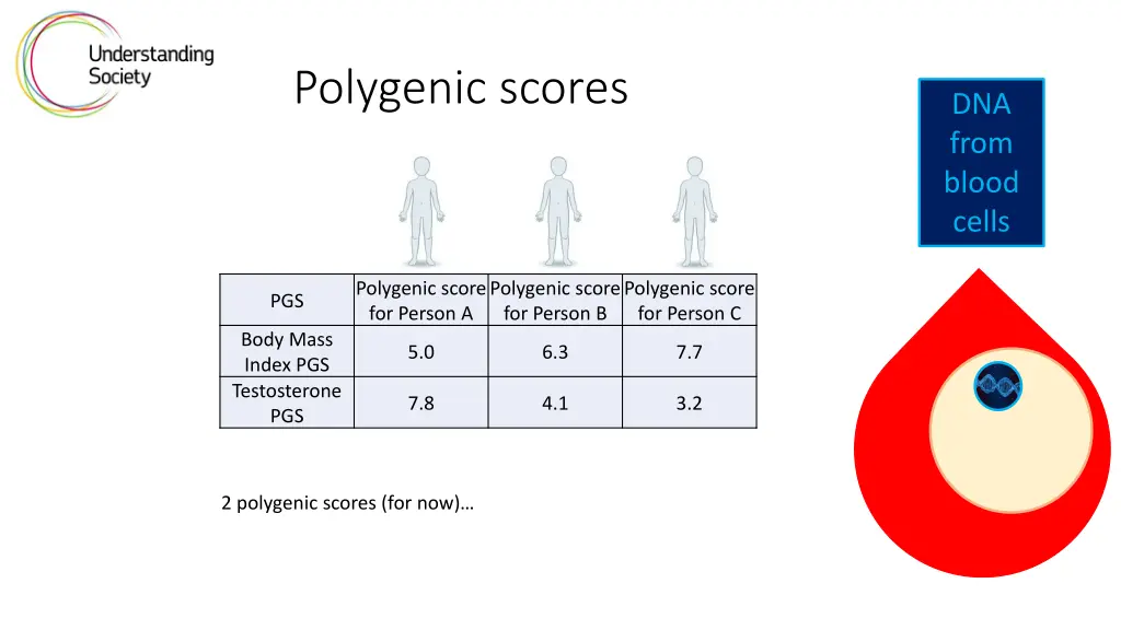 polygenic scores