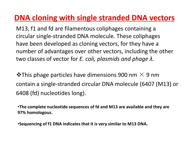 dna cloning with single stranded dna vectors