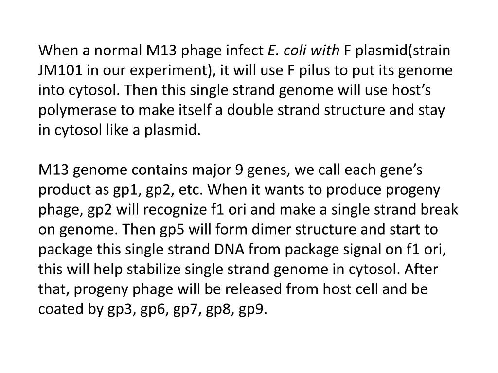 when a normal m13 phage infect e coli with