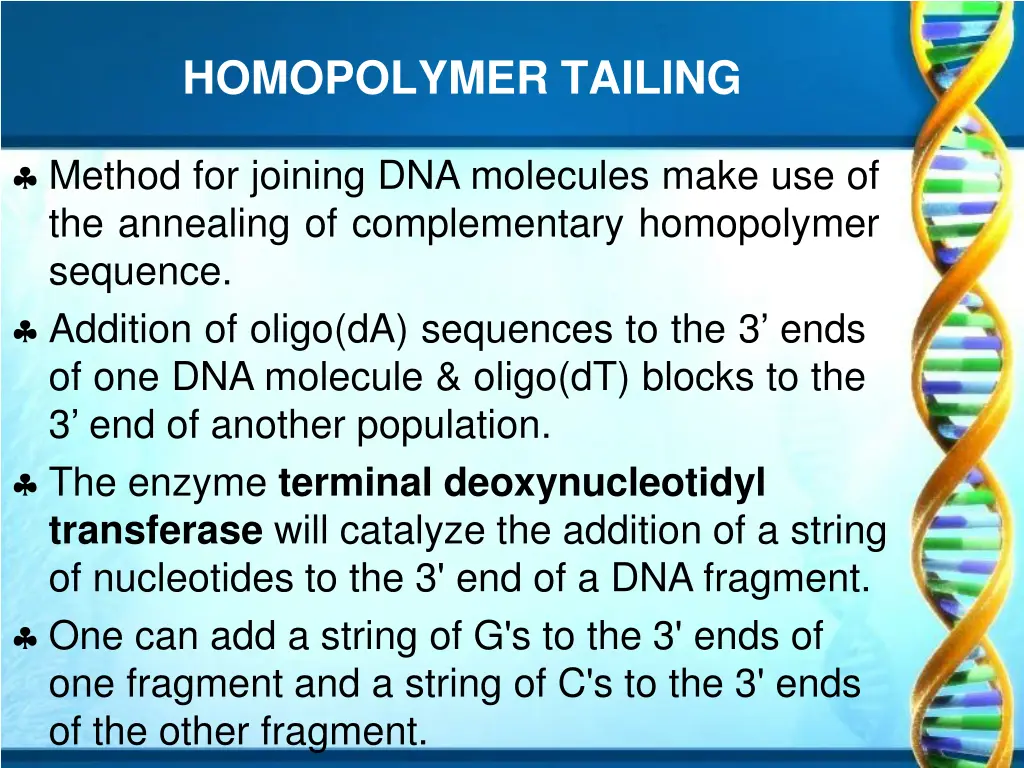 homopolymer tailing