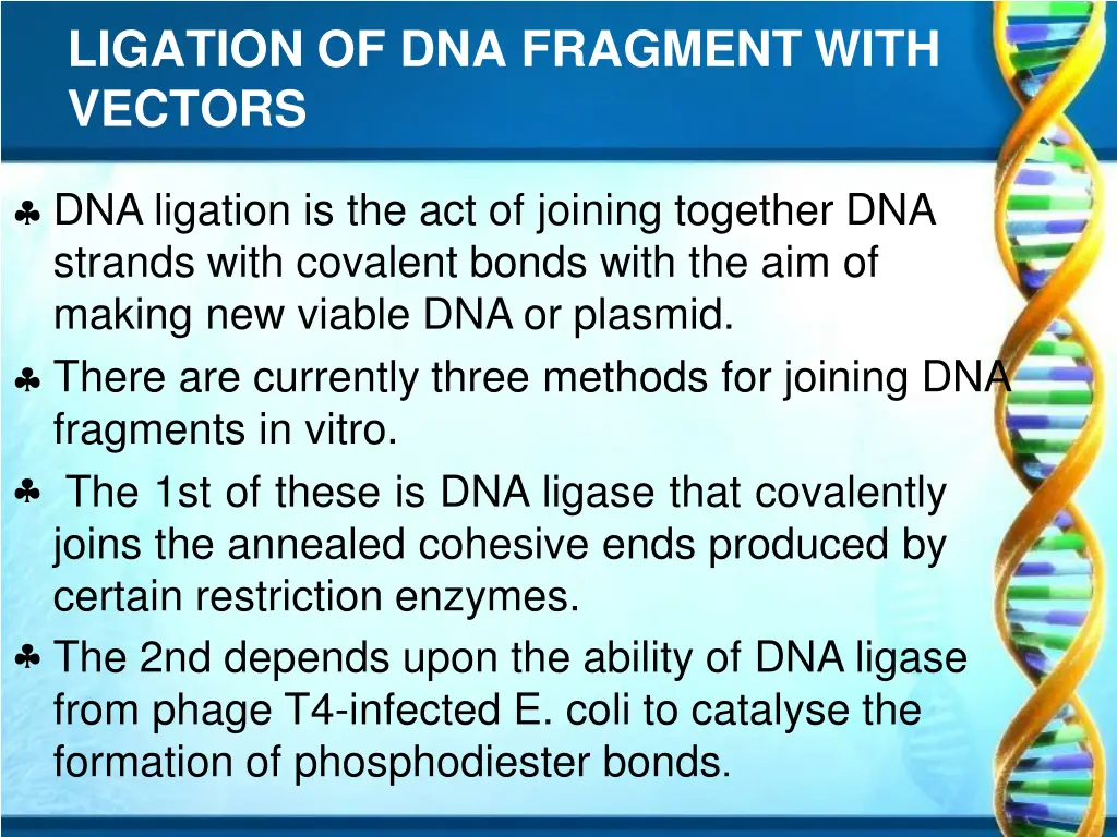 ligation of dna fragment with vectors