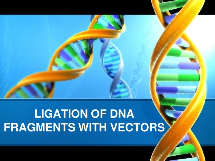 ligation of dna fragments with vectors