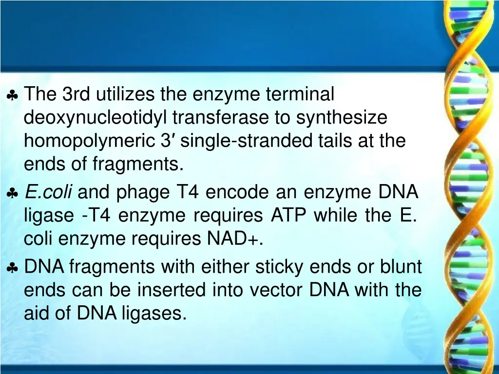 the 3rd utilizes the enzyme terminal