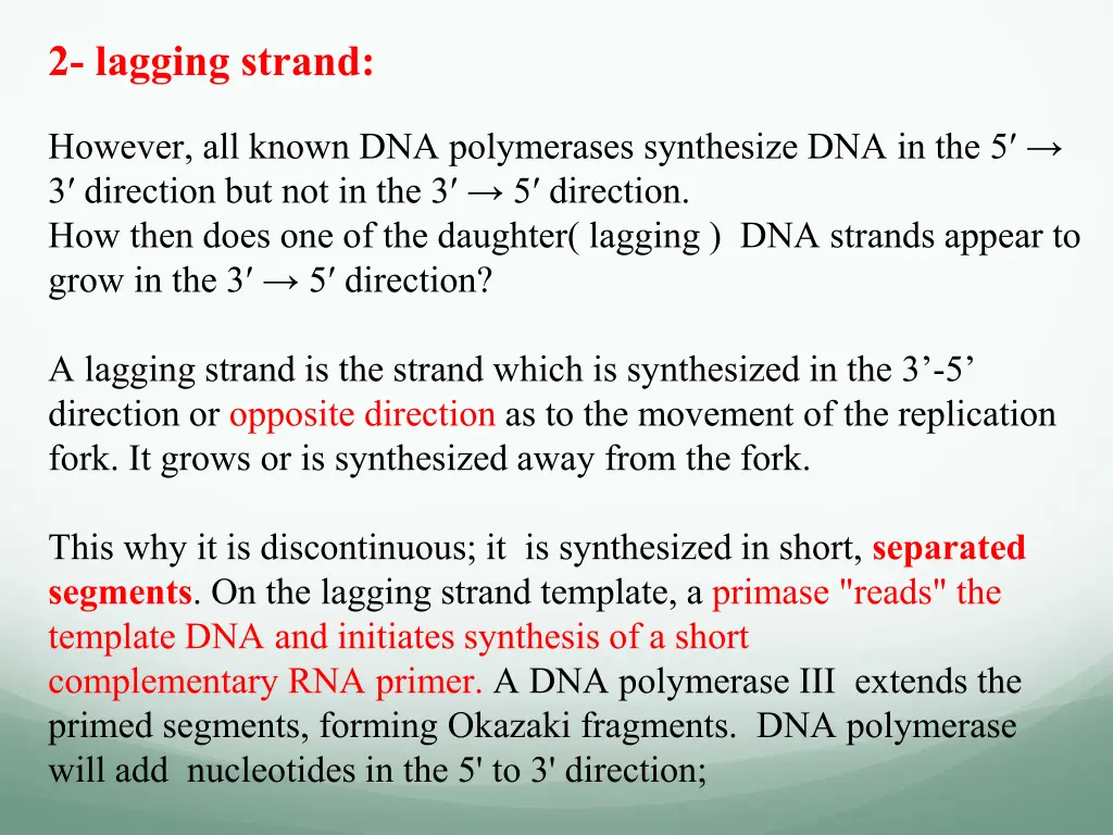 2 lagging strand