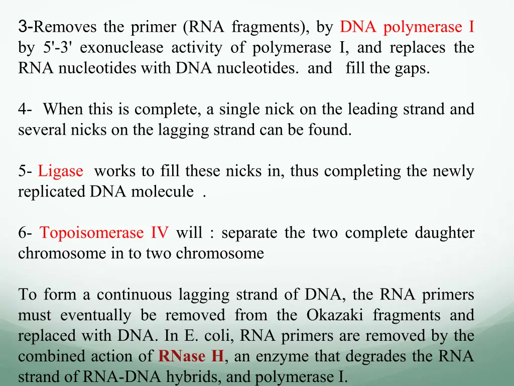 3 removes the primer rna fragments