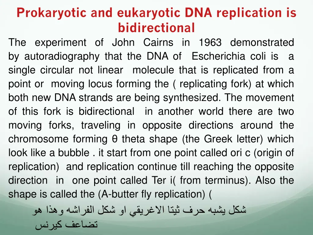 prokaryotic and eukaryotic dna replication