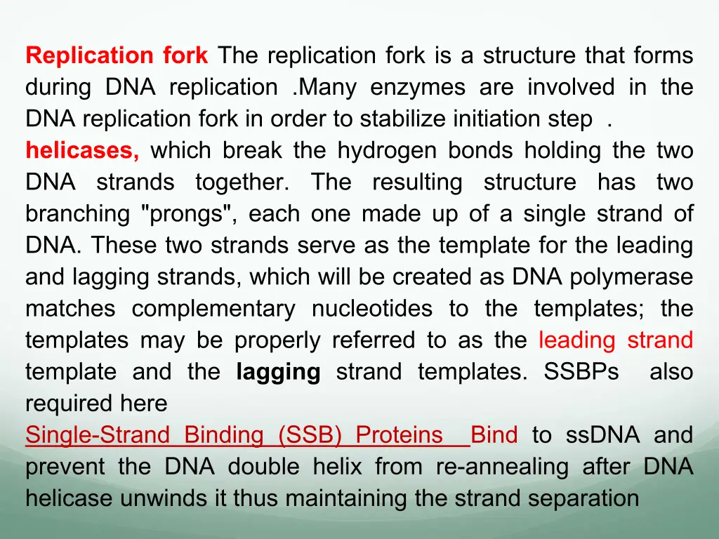 replication fork the replication fork