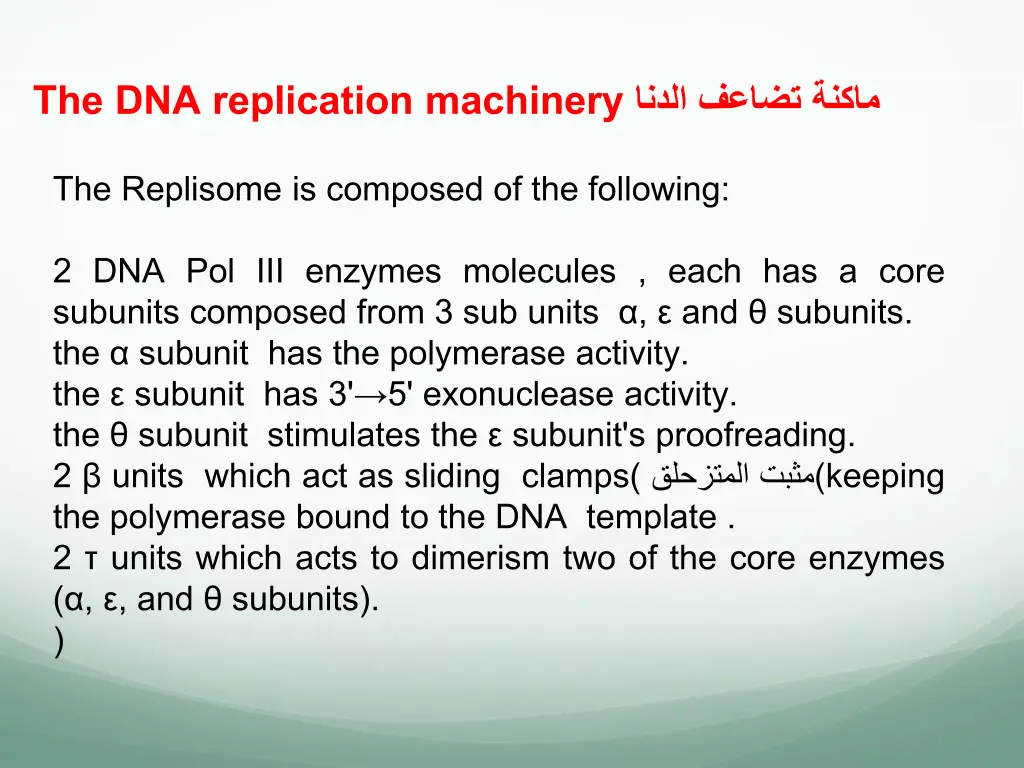 the dna replication machinery