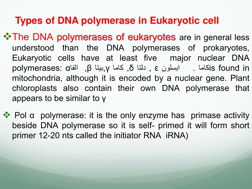 types of dna polymerase in eukaryotic cell